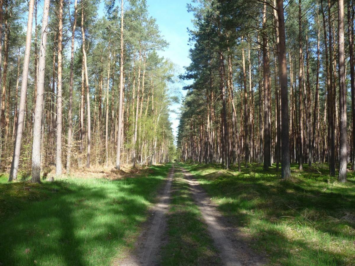 Ferienwohnung Ostseewald Rostock Ngoại thất bức ảnh
